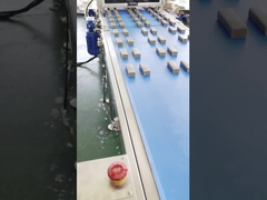 Линия машина папы высокоскоростная Multi штрангпресса Адвокатуры даты протеина